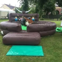 Rodeo Bull Hire 2 Hours