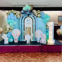 Themed Party Decor Back Drops
