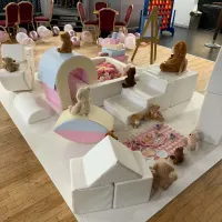 Themed Soft Play - Teddy Bears Picnic