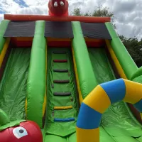 Mega Twin Lane Jungle Slide