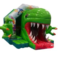 Dinosaur 3d Slide Castle