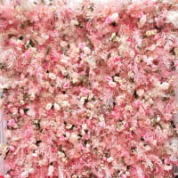 Blush Pinks & White Flower Wall