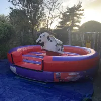15ft X 15ft Rodeo Bull
