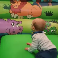 Jungle Toddler Bouncy Castle