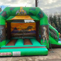 14ft X 16ft Dinosaur Bounce And Slide