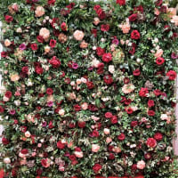 Red, Peach And Purple And Foliage Flower Wall