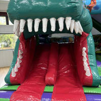 Dinosaur 3d Twin Slide Bouncy Castle