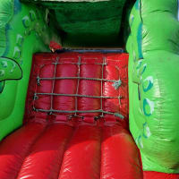 9.8ft Crocodile Slide