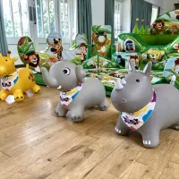 3d Safari Jungle Package