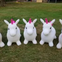 6 Unicorn Hopperz