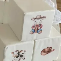 First Rodeo Themed Soft Play