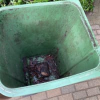 Garden Bin Collection