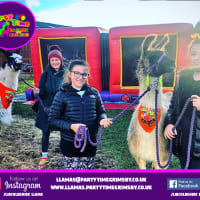 Llamas And Alpacas Experience