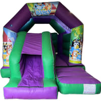 Green And Purple Combi 16ft X 12ft