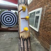 Viking Axe Throwing