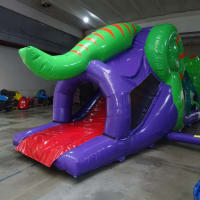 Indoor Double Dinosaur 3d Package