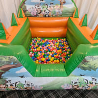 Jungle Soft Play And Inflatable Ball Pit