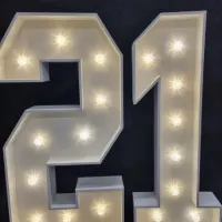 Number Lights 4ft 0-9 Available