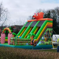 Mega Twin Lane Jungle Slide