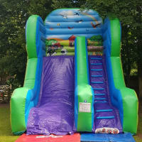 19ft Farmyard Mini Mega Slide