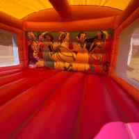 13ft X 17ft Pink Slide Castle