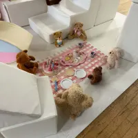 Themed Soft Play - Teddy Bears Picnic