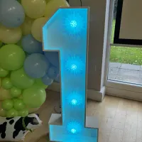 Light Up Number 1 Hire