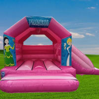 Pink Themed Side Slide - Princess