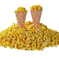 Popcorn Machine Hire