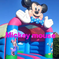 Mickey Mouse Castle