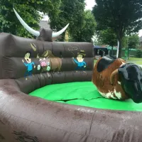 Rodeo Bull Hire 2 Hours