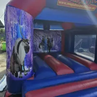 12ft X 12ft Frozen Themed Bouncy Castle