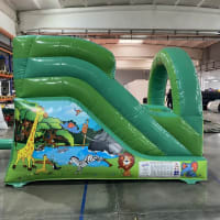 Little Arched Jungle Slide