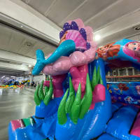 Mermaid 3d Castle With Slide