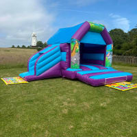 Jungle Themed Purple And Blue Bounce And Slide