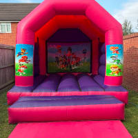 12ft X 12ft Pink And Purple - Paw Patrol Theme