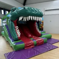 Dinosaur 3d Twin Slide Bouncy Castle