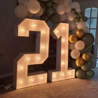 4ft Led Numbers