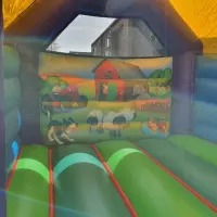 10ft X 10ft Farmyard Themed Bouncy Castle