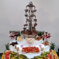 Chocolate Fountain And Fruit Combi Display