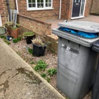 White Goods