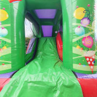 Double Play And Slide Party Theme Bouncy Castle