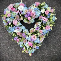 Open Heart