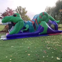 Triple Dinosaur 3d Package