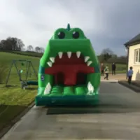 Crocodile 35 Ft Obstacle Course
