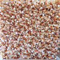 Rustic / Autumn Flower Wall - Browns, Whites, Soft Pinks, Burnt Orange