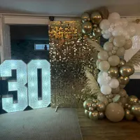 Balloon Displays