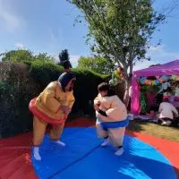 Sumo Suits