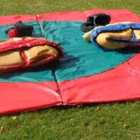 Sumo Suits For Adult And Teenagers