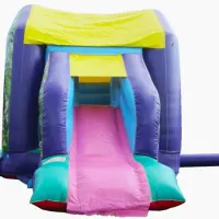 14ft X 16ft Fantasy Bounce And Slide